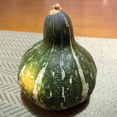 お庭の植栽に自動で水やり関連画像 お庭の植栽に自動で水やり関連画像