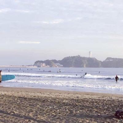 関連画像 関連画像