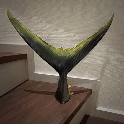 関連画像 関連画像