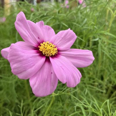 50-50関連画像 50-50関連画像