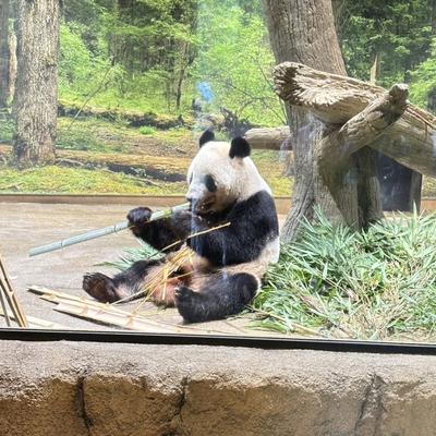久しぶりの再会!!関連画像 久しぶりの再会!!関連画像