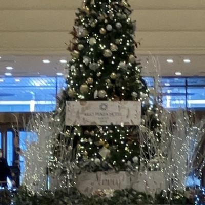 関連画像 関連画像