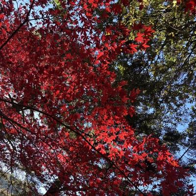 一年の振り返り関連画像 一年の振り返り関連画像