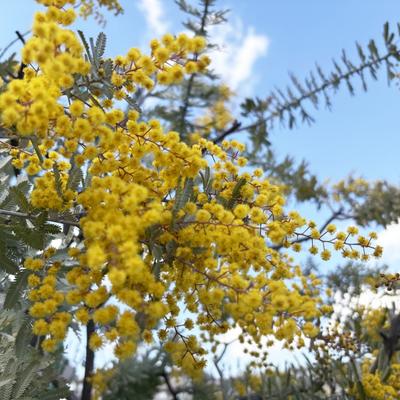 工場見学 in富山県関連画像 工場見学 in富山県関連画像