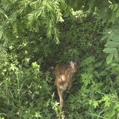 関連画像 関連画像