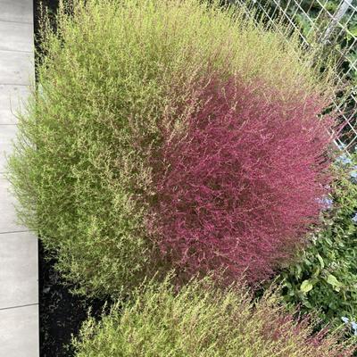 関連画像 関連画像