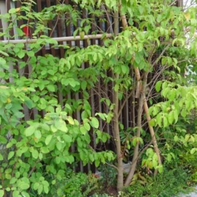 ブログ用写真 ブログ用写真