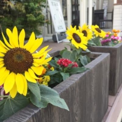 オンリーワンのプランター オンリーワンのプランター