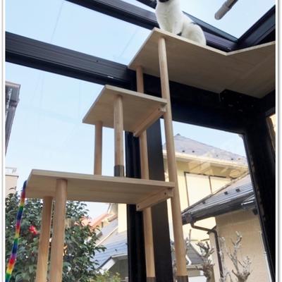 キャットウォーク 横浜市 テラス囲い2P キャットウォーク 横浜市 テラス囲い2P