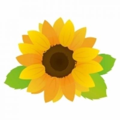 ひまわりP ひまわりP