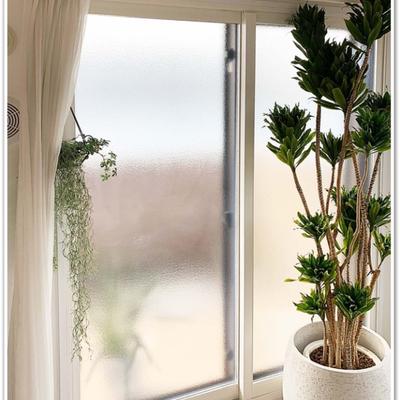 内窓 二重窓 マンション 横浜市 集合住宅 内窓 二重窓 マンション 横浜市 集合住宅