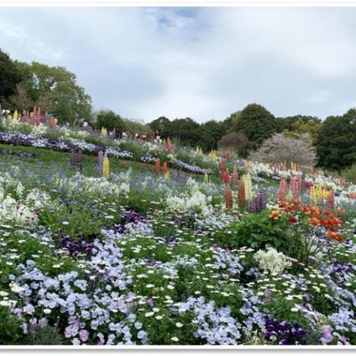 20210412里山ガーデンの風景1 20210412里山ガーデンの風景1