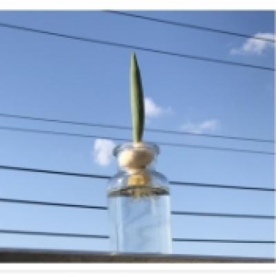 2021-04-11 15.35.45_8e9b6c90 2021-04-11 15.35.45_8e9b6c90