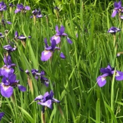 2021-05-05 09.01.32_92b011fb 2021-05-05 09.01.32_92b011fb