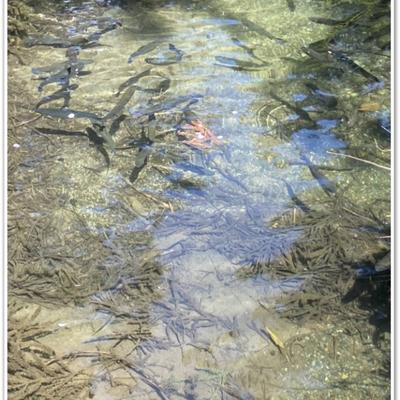 S__13852678 S__13852678