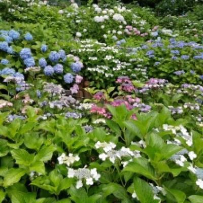 IMG_20210606_105854 IMG_20210606_105854