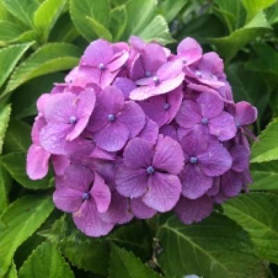 2021-06-15 06.23.51_4ff0166c 2021-06-15 06.23.51_4ff0166c