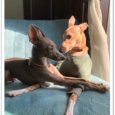 S__6275078 S__6275078