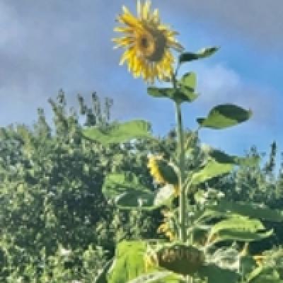 2021-07-23 07.17.19_a3778f65 (2) 2021-07-23 07.17.19_a3778f65 (2)