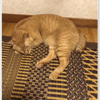 S__9084934 S__9084934