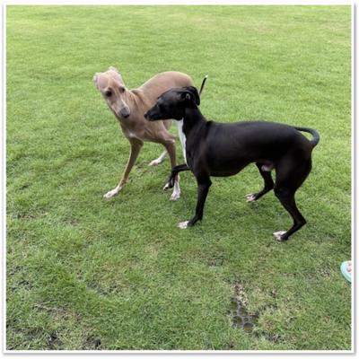 S__14991386 S__14991386