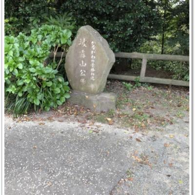 S__9707526 S__9707526