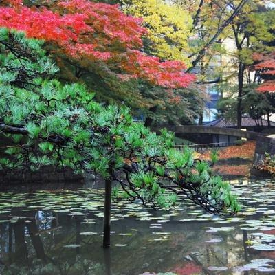 ClipboardImage ClipboardImage