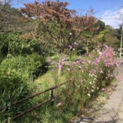 2021-10-10 13.15.00_59d72d4c 2021-10-10 13.15.00_59d72d4c