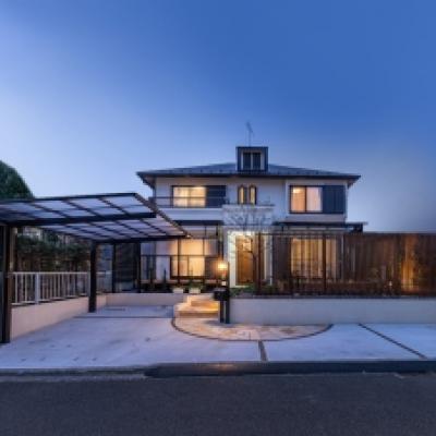 チューリップの芽が出ました! チューリップの芽が出ました!