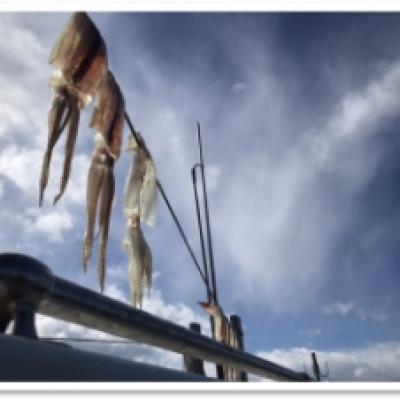 S__15654934 S__15654934