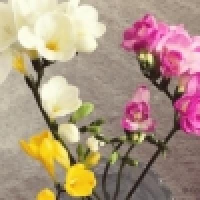 b43133c44c65465c5f92a4af9d64dfb6_1532601939-480x320 b43133c44c65465c5f92a4af9d64dfb6_1532601939-480x320