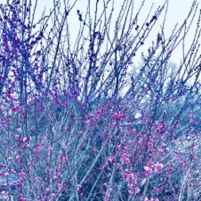 2022-02-18 06.54.49_86d82152 2022-02-18 06.54.49_86d82152