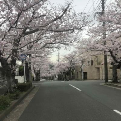 2022-03-29 13.37.54_b5dd44a6 2022-03-29 13.37.54_b5dd44a6