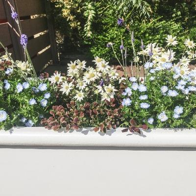 ワイドアルミガーデンの春♪ ワイドアルミガーデンの春♪