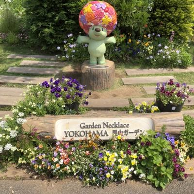 S__13598732 S__13598732