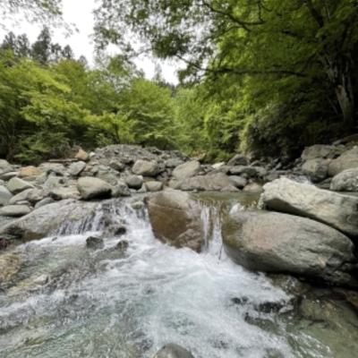 S__40419381 S__40419381