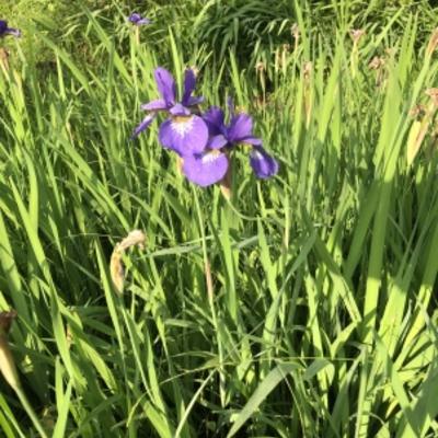 2022-05-18 06.23.53_f78126f0 2022-05-18 06.23.53_f78126f0