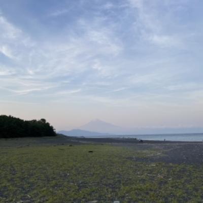 S__22519847 S__22519847