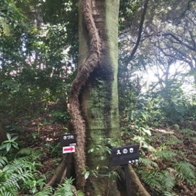 自然に癒された休日♪ 自然に癒された休日♪