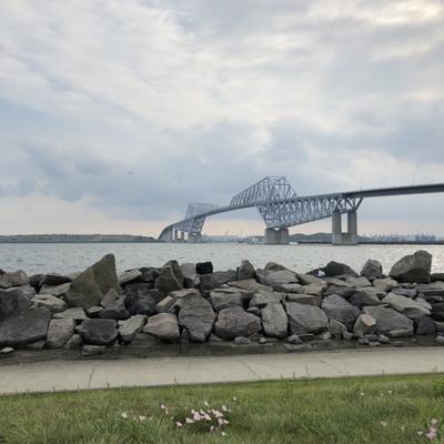 S__19021828 S__19021828