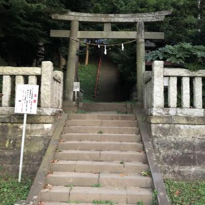 S__19587077 S__19587077
