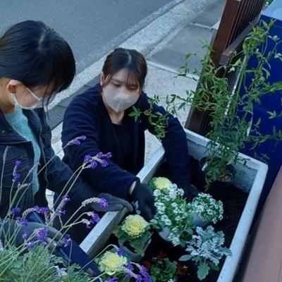 *ワイドアルミガーデン*秋の植え替え *ワイドアルミガーデン*秋の植え替え