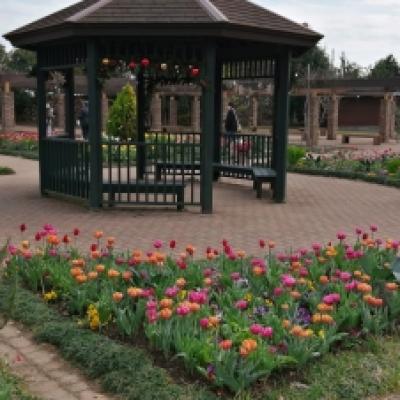 IMG_20221211_123733 IMG_20221211_123733