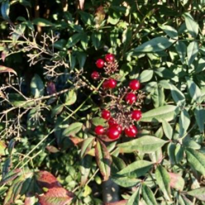 2022-12-08 07.18.02_0223fa5e (1) 2022-12-08 07.18.02_0223fa5e (1)