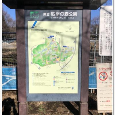 S__17424390 S__17424390