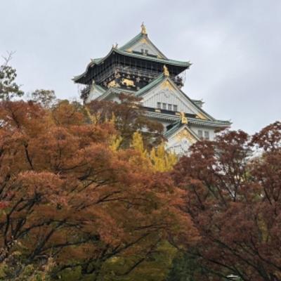ダウンロード ダウンロード