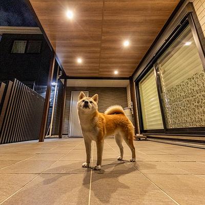 【リフォーム事例:11874】愛犬が過ごすタイルデッキを快適にテラス屋根設置工事/横浜市 【リフォーム事例:11874】愛犬が過ごすタイルデッキを快適にテラス屋根設置工事/横浜市