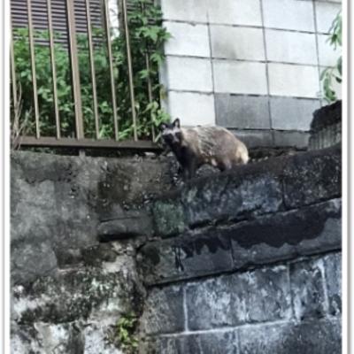 S__18751512_0 S__18751512_0
