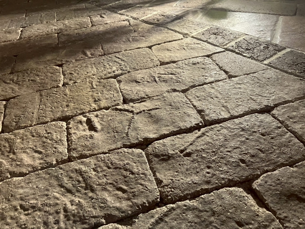 ιȥ硼롼ࡦ츫شϢ