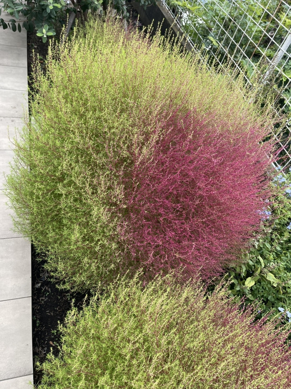 関連画像 関連画像